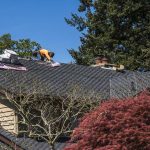 Popular-Shingles